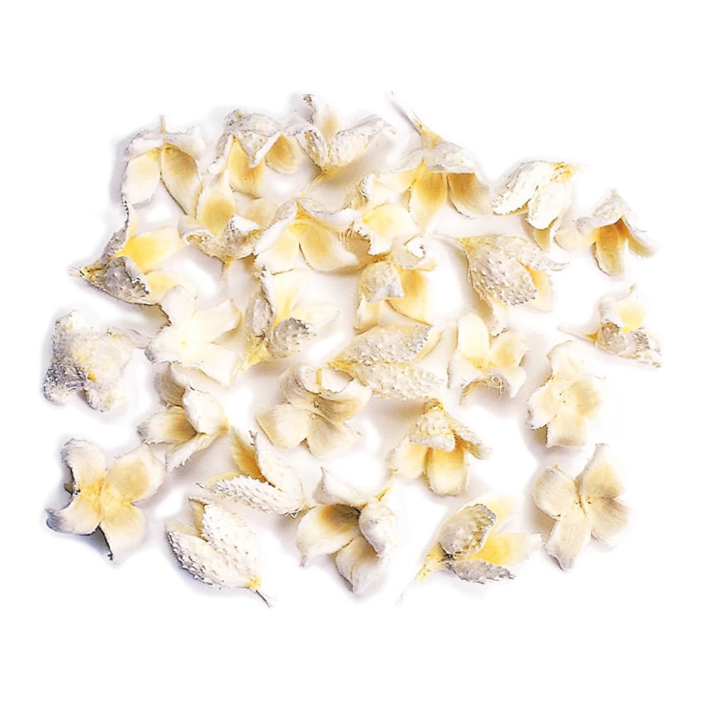 Visions＆Flowers ecomaru 719oBtgyREL._AC_UF1000,